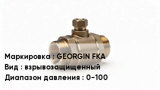 Датчик давления GEORGIN FKA взрывозащищенный 0-100